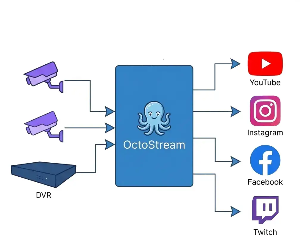 OctoStream image number 21