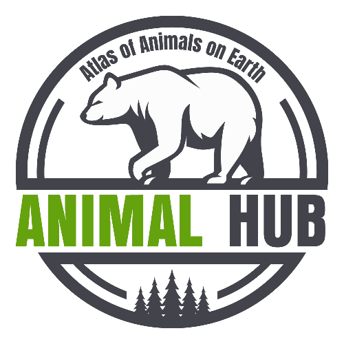AnimalHub