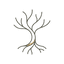 Roots - Daily Philosophy
